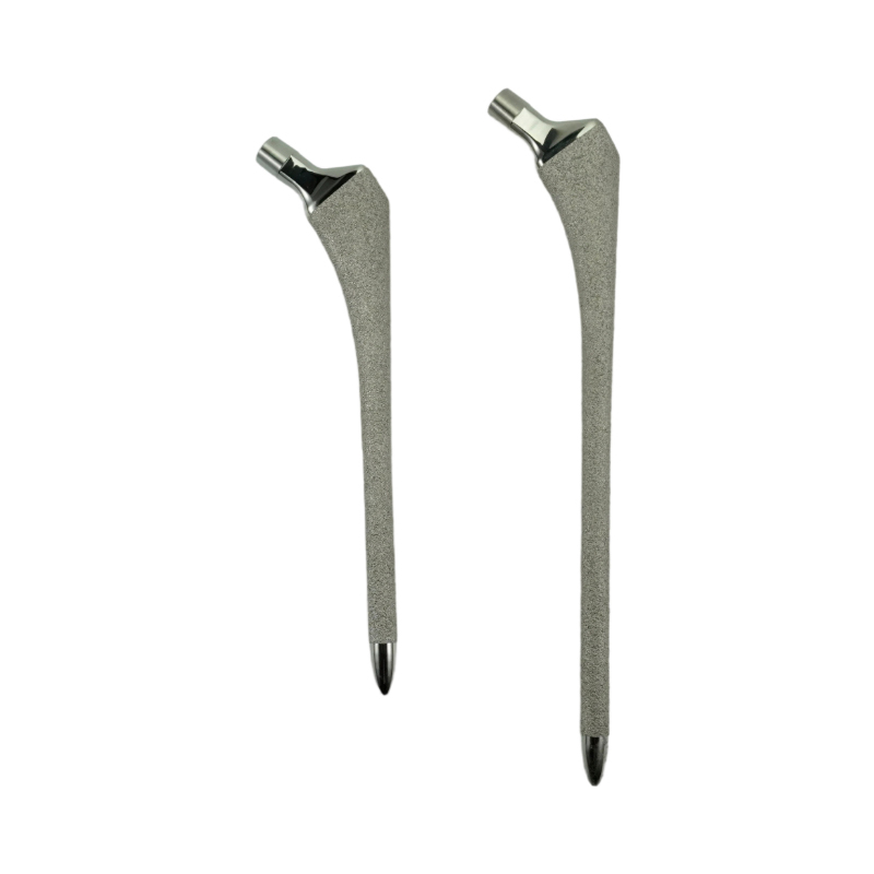 Revision Hip Stem