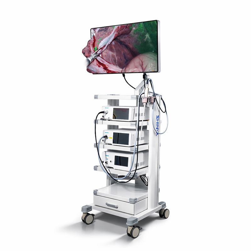 Endoscopic Camera System Catalogue Download