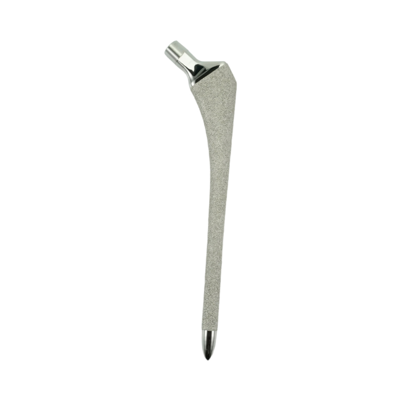 Revision Hip Stem